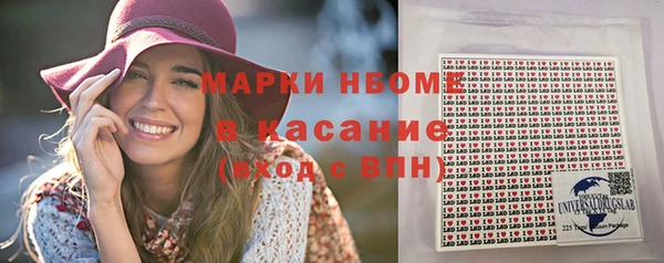 хмурый Алзамай