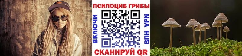 купить   KRAKEN ONION  Галлюциногенные грибы MAGIC MUSHROOMS  Нижнекамск 